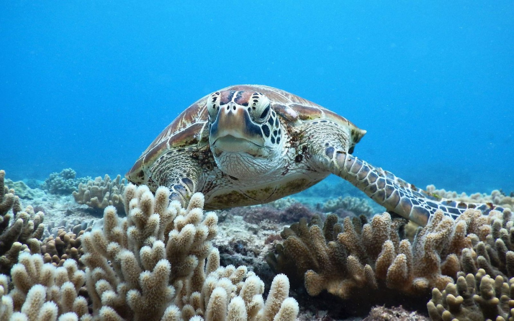 シルバーウィーク宮古島旅行！